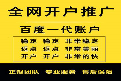 竞价排名广告投放案例